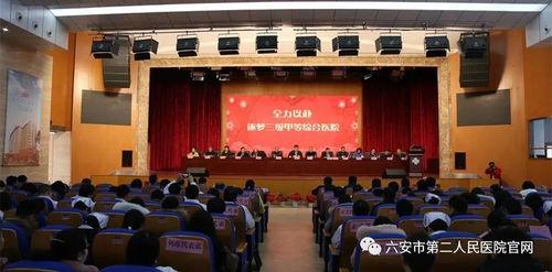 石家庄二院爆料新闻,揭秘医院内部惊人真相